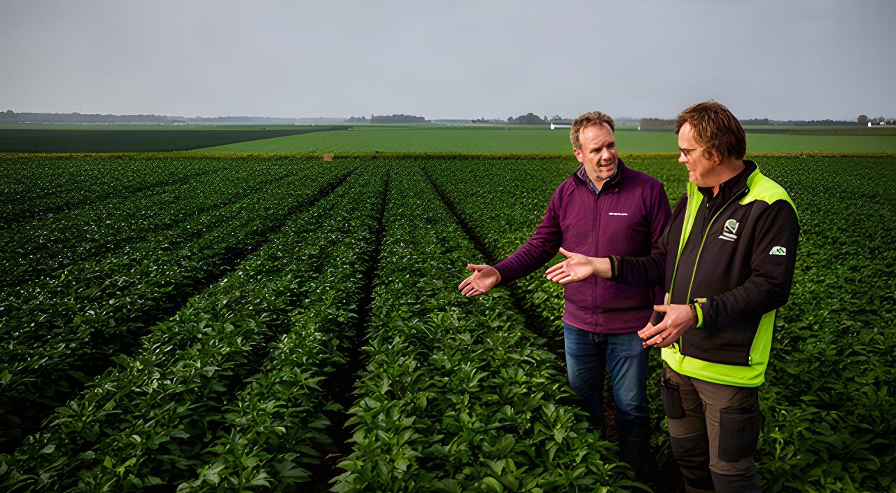 Agrarisch adviseur bespreekt de gewasstand met een teler tussen groene akkers in Noord-Holland
